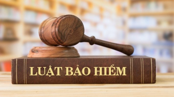 Phạm vi bảo hiểm hoàn toàn dựa trên luật pháp quy định