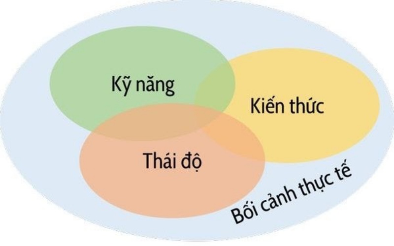 Các yếu tố cấu thành năng lực nghề nghiệp là gì?